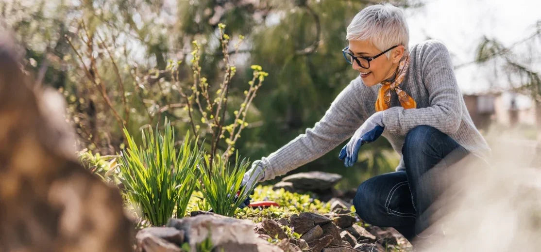 The Art of Creating a Sustainable Garden