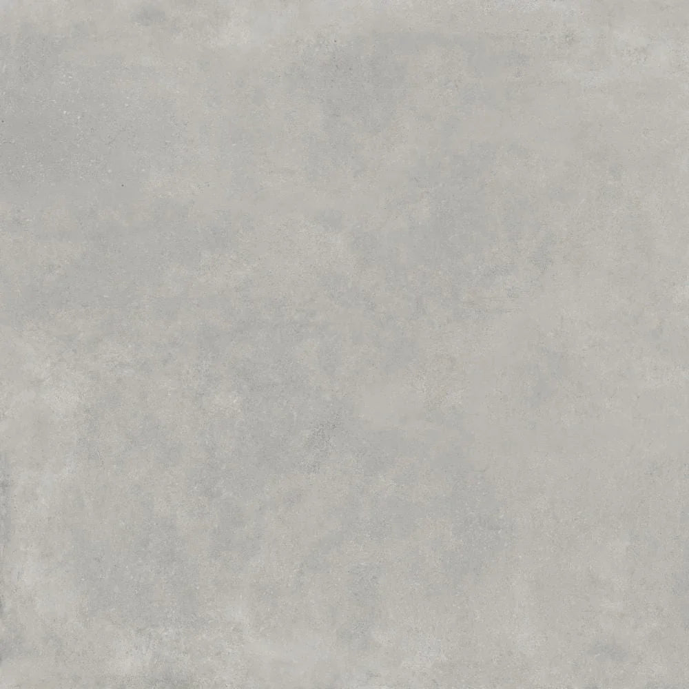 Ach-Grey PR6060L Swatch