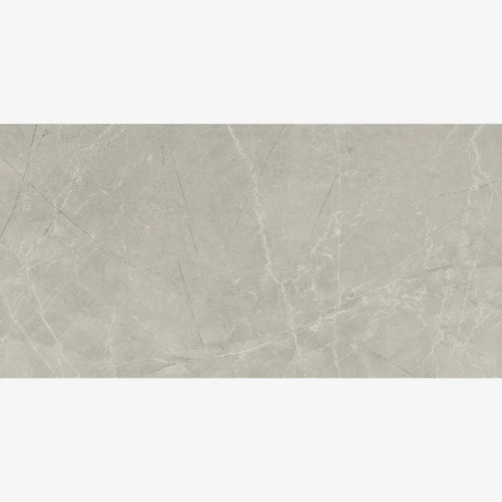 Bakuna Silver Polished 60x120cm Swatch