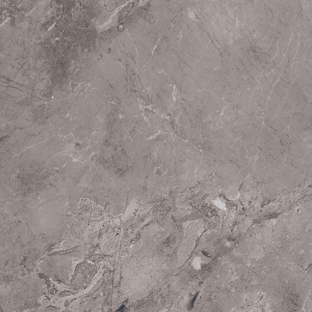 Moreno Gris 60 x 60cm Polished Tile Swatch