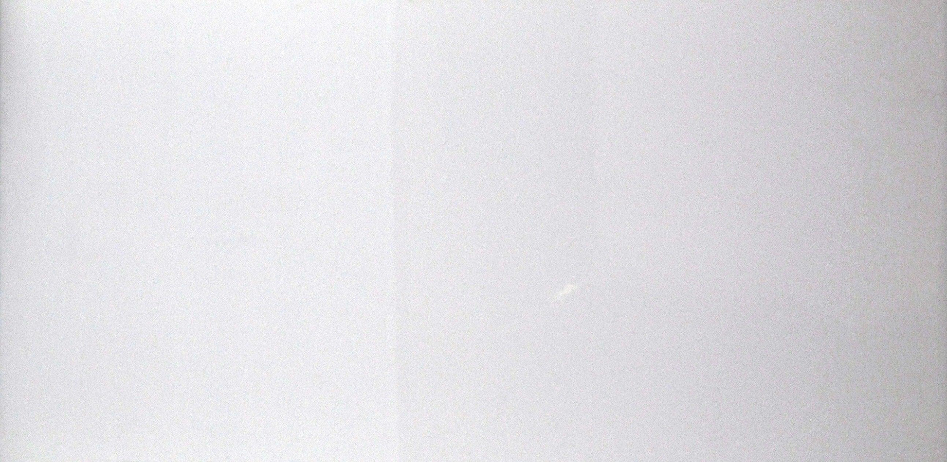 Virotia 30 x 60cm Matt and Polished White Tile Swatch