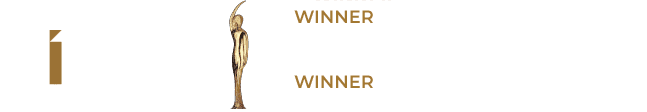banner for bibas winner of business award 2019