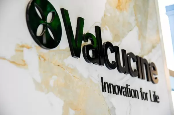 Valcucine logo at Roccia