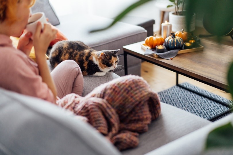 Cat and woman sitting on a couch with cosy autumnal decor
